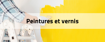 Peinture professionnelle